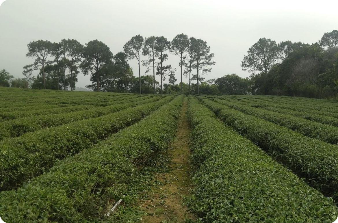 343632890_982477479435955_8886107739048544955_n