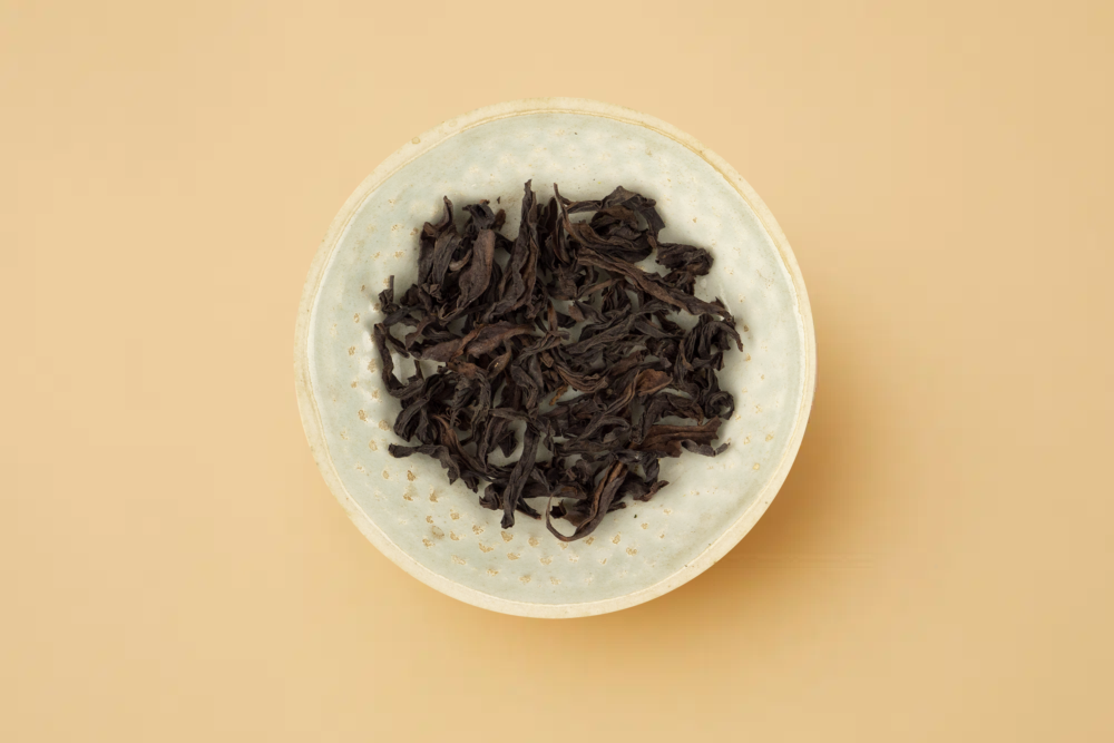 Sans titre 7_20231126203107