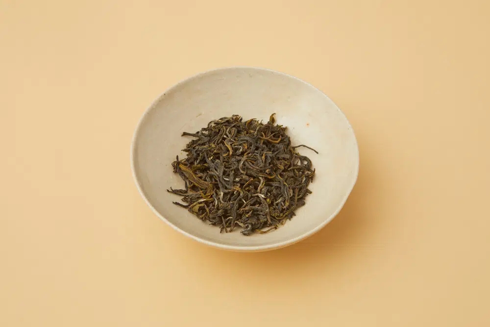 Sans titre 8_20260302134229