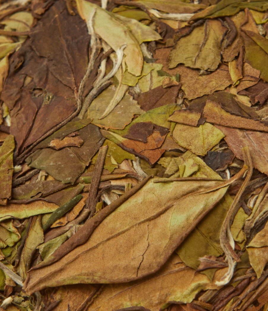 Screenshot 2023-10-04 at 14.47.15