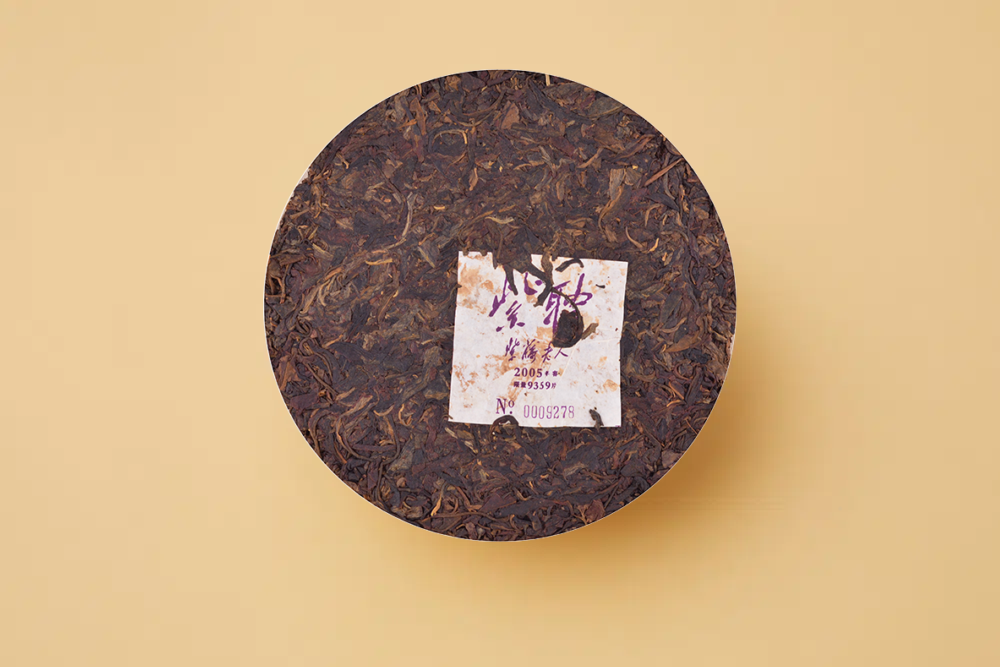 Sans titre 7_20231221181025